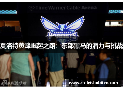 夏洛特黄蜂崛起之路：东部黑马的潜力与挑战